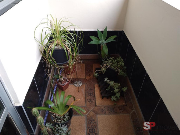 Imagem Apartamento com 3 Quartos à Venda, 101 m² em Santa Maria - São Caetano Do Sul Imagem Apartamento com 3 Quartos à Venda, 101 m² em Santa Maria - São Caetano Do Sul