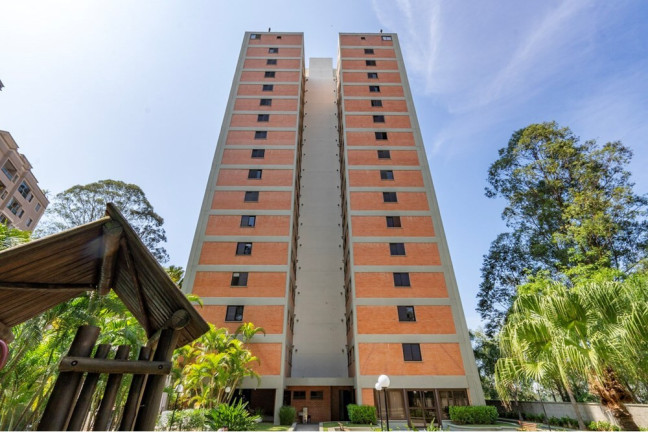 Imagem Apartamento com 3 Quartos à Venda, 82 m² em Paraíso Do Morumbi - São Paulo Imagem Apartamento com 3 Quartos à Venda, 82 m² em Paraíso Do Morumbi - São Paulo