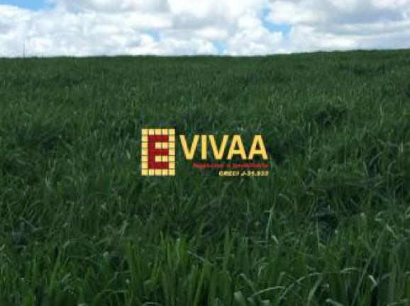 Imagem Fazenda à Venda, 21 m² em Novo São Joaquim Imagem Fazenda à Venda, 21 m² em Novo São Joaquim
