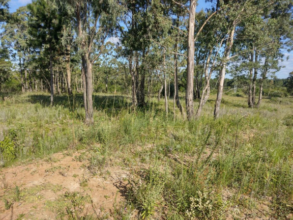 Imagem Terreno à Venda, 20.000 m² em Alto Perequê - Arroio Do Padre Imagem Terreno à Venda, 20.000 m² em Alto Perequê - Arroio Do Padre