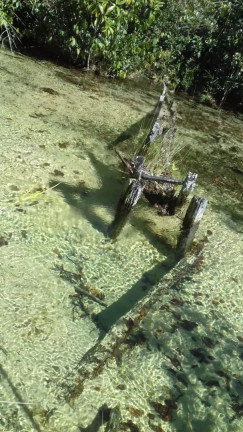 Imagem Fazenda à Venda, 100 m² em Zona Rural - Pontes E Lacerda Imagem Fazenda à Venda, 100 m² em Zona Rural - Pontes E Lacerda