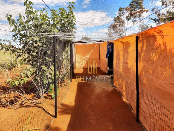 Imagem Chácara com 4 Quartos à Venda, 450 m² em Chacara Sussuapara - Bela Vista De Goiás Imagem Chácara com 4 Quartos à Venda, 450 m² em Chacara Sussuapara - Bela Vista De Goiás
