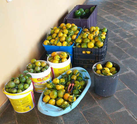 Imagem Terreno à Venda, 1 m² em Jardim Cananéia - Pilar Do Sul Imagem Terreno à Venda, 1 m² em Jardim Cananéia - Pilar Do Sul