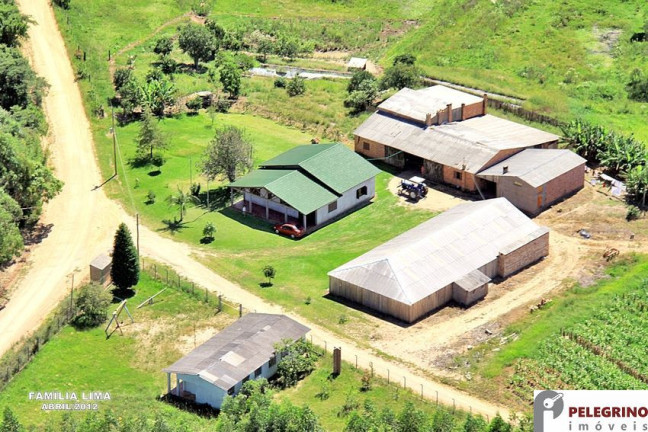 Imagem Imóvel com 3 Quartos à Venda, 80.000 m² em Zona Rural - Sentinela Do Sul Imagem Imóvel com 3 Quartos à Venda, 80.000 m² em Zona Rural - Sentinela Do Sul