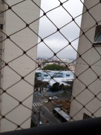 Imagem Apartamento com 2 Quartos à Venda, 53 m² em Vila Moraes - São Paulo