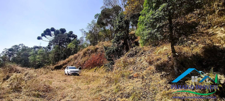 Imagem Chácara à Venda, 49 m² em Centro - Gonçalves Imagem Chácara à Venda, 49 m² em Centro - Gonçalves