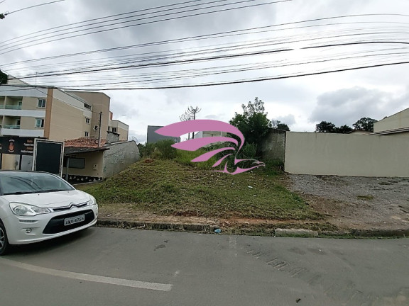 Imagem Terreno à Venda, 500 m² em Bom Jesus - São José Dos Pinhais Imagem Terreno à Venda, 500 m² em Bom Jesus - São José Dos Pinhais