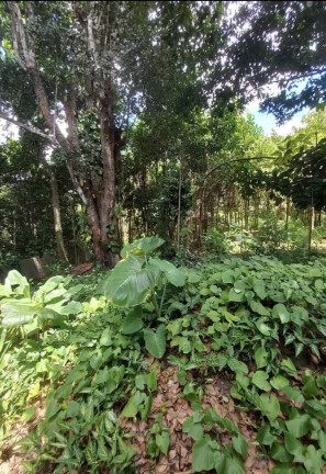 Terreno à Venda, 5 m² em Aldeia Dos Camarás - Camaragibe