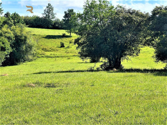 Imagem Chácara à Venda, 140.000 m² em Morungava - Gravataí Imagem Chácara à Venda, 140.000 m² em Morungava - Gravataí