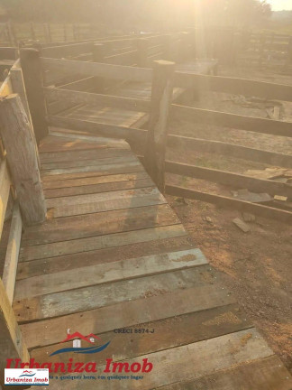 Imagem Fazenda à Venda, 1 m² em Camapuã Imagem Fazenda à Venda, 1 m² em Camapuã