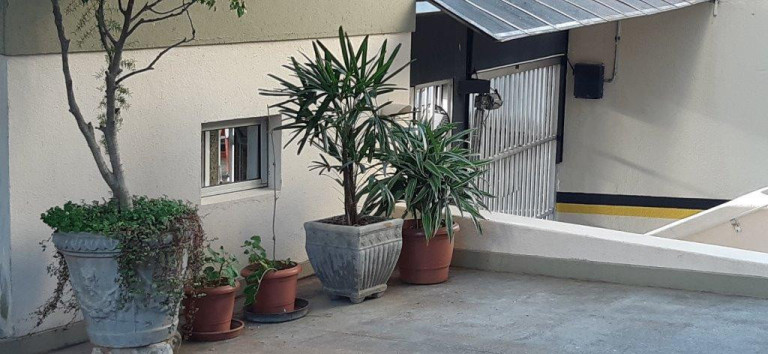 Imagem Apartamento para Alugar, 56 m² em Vila Itapura - Campinas