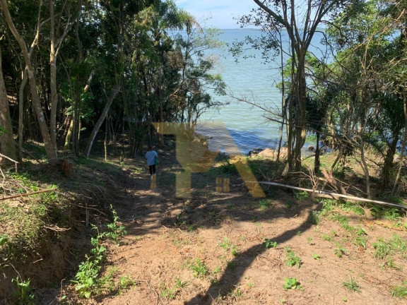 Imagem Fazenda à Venda, 24.000 m² em Itapeva - Imaruí Imagem Fazenda à Venda, 24.000 m² em Itapeva - Imaruí