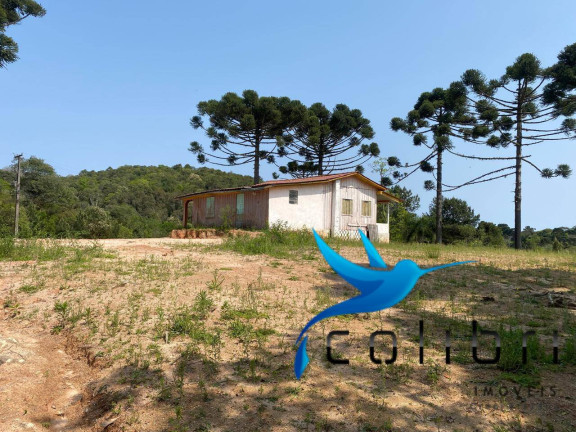 Terreno à Venda, 2.707 m² em Leão - Agudos Do Sul