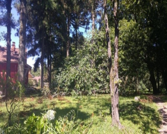 Imagem Casa com 4 Quartos à Venda, 170 m² em Piá - Nova Petrópolis Imagem Casa com 4 Quartos à Venda, 170 m² em Piá - Nova Petrópolis