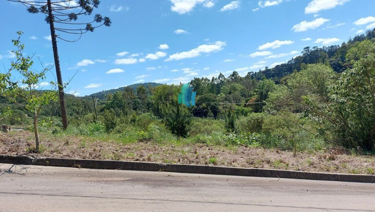 Imagem Terreno à Venda, 276 m² em Cruzeiro - Bento Gonçalves