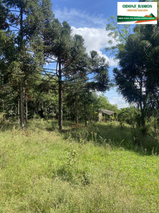 Imagem Chácara com 3 Quartos à Venda, 160 m² em Montenegro