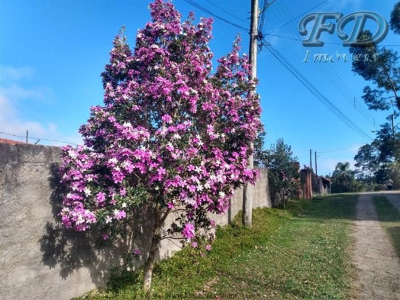 Imagem Chácara com 4 Quartos à Venda, 2.400 m² em Portão - Atibaia