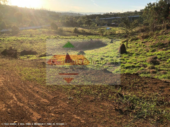 Imagem Terreno à Venda, 8.000 m² em Chacaras Catagua - Taubaté Imagem Terreno à Venda, 8.000 m² em Chacaras Catagua - Taubaté