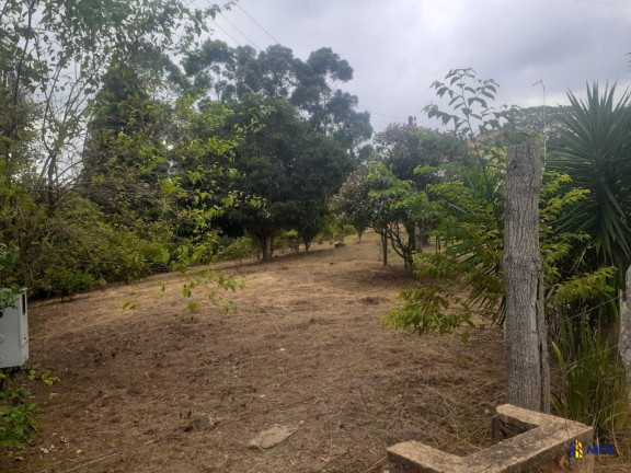 Imagem Chácara à Venda, 3.000 m² em Barreiro - Piedade Imagem Chácara à Venda, 3.000 m² em Barreiro - Piedade
