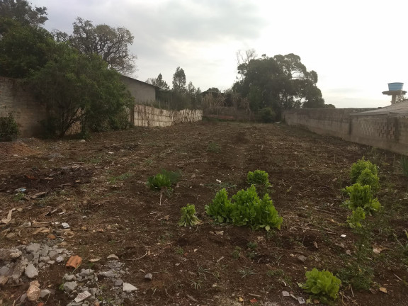 Imagem Terreno à Venda, 822 m² em Campo Do Meio - Campo Largo Imagem Terreno à Venda, 822 m² em Campo Do Meio - Campo Largo
