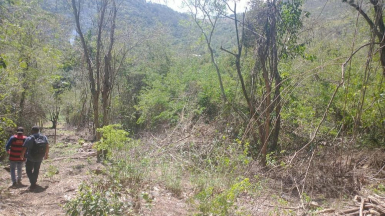 Imagem Imóvel à Venda, 3.100 m² em Guaratiba - Rio De Janeiro Imagem Imóvel à Venda, 3.100 m² em Guaratiba - Rio De Janeiro