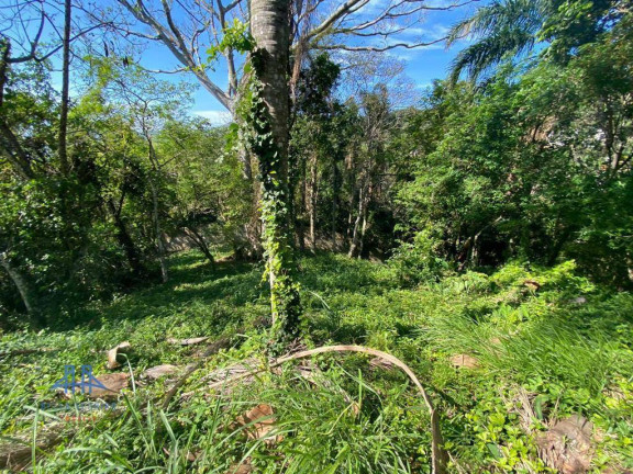 Imagem Terreno à Venda, 794 m² em Córrego Grande - Florianópolis Imagem Terreno à Venda, 794 m² em Córrego Grande - Florianópolis