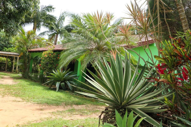 Imagem Casa com 4 Quartos à Venda, 4.672 m² em águas Claras - Viamão