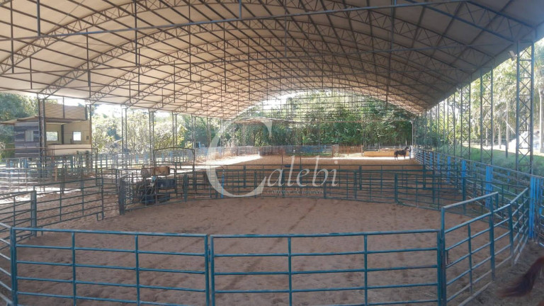 Imagem Chácara com 5 Quartos à Venda, 3 m² em Varginha - Santo Antônio De Posse