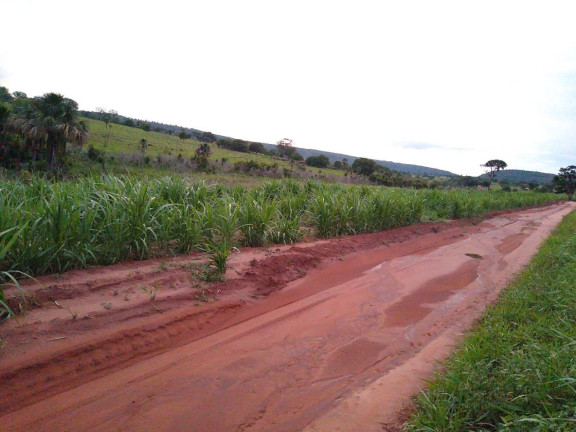 Imagem Fazenda à Venda, 23 m² em Centro - Santa Vitória Imagem Fazenda à Venda, 23 m² em Centro - Santa Vitória