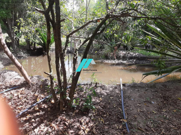 Imagem Fazenda à Venda, 5.000 m² em Zona Rural - Piracema Imagem Fazenda à Venda, 5.000 m² em Zona Rural - Piracema