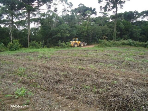 Imagem Imóvel à Venda, 222.000 m² em Centro - Mandirituba Imagem Imóvel à Venda, 222.000 m² em Centro - Mandirituba