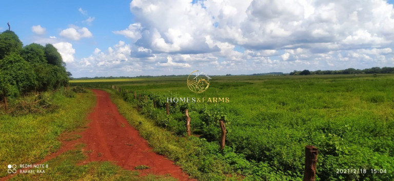 Imagem Imóvel com 3 Quartos à Venda, 423 m² em Zona Rural - Turvelândia Imagem Imóvel com 3 Quartos à Venda, 423 m² em Zona Rural - Turvelândia