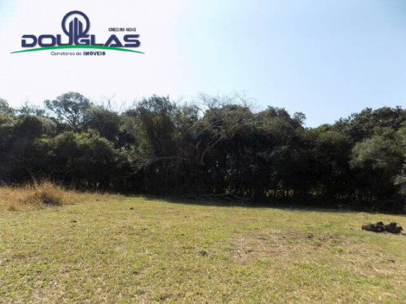 Imagem Chácara à Venda, 20.000 m² em águas Claras - Viamão Imagem Chácara à Venda, 20.000 m² em águas Claras - Viamão
