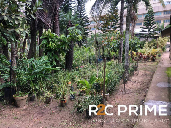 Imagem Terreno à Venda, 10 m² em Recreio Dos Bandeirantes - Rio De Janeiro Imagem Terreno à Venda, 10 m² em Recreio Dos Bandeirantes - Rio De Janeiro