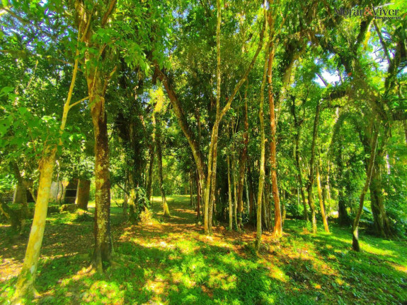 Imagem Chácara à Venda, 6.000 m² em Loteamento Chácara Chantecler - Piraquara Imagem Chácara à Venda, 6.000 m² em Loteamento Chácara Chantecler - Piraquara