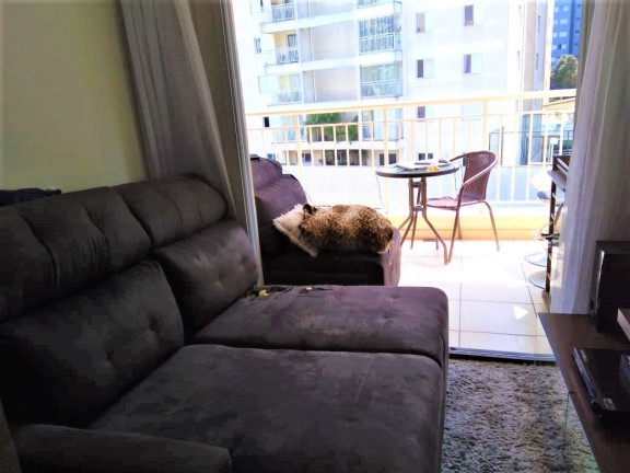 Imagem Apartamento com 2 Quartos à Venda, 59 m² em Vila Monte Alegre - São Paulo Imagem Apartamento com 2 Quartos à Venda, 59 m² em Vila Monte Alegre - São Paulo