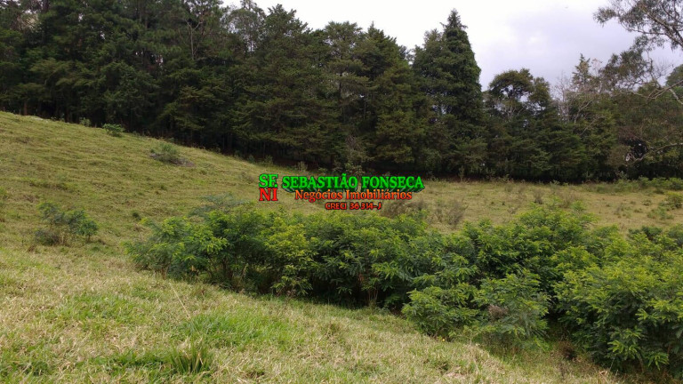 Imagem Chácara à Venda, 5.000 m² em São Francisco Xavier - São José Dos Campos Imagem Chácara à Venda, 5.000 m² em São Francisco Xavier - São José Dos Campos
