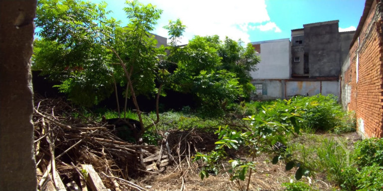 Imagem Terreno para Alugar, 300 m² em Jardim Planalto - São Paulo Imagem Terreno para Alugar, 300 m² em Jardim Planalto - São Paulo