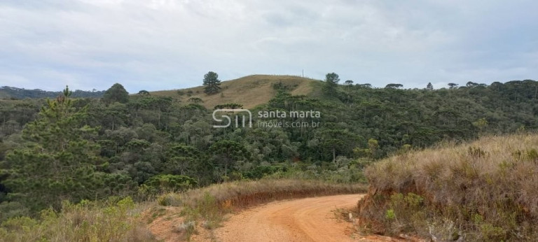 Imagem Imóvel à Venda, 20.000 m² em Bairro Do Charco - Delfim Moreira Imagem Imóvel à Venda, 20.000 m² em Bairro Do Charco - Delfim Moreira
