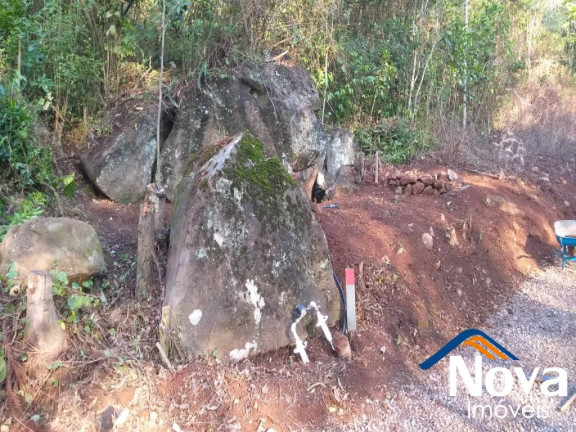 Imagem Imóvel à Venda, 31.701 m² em Linha Pirajá Baixa - Nova Petrópolis