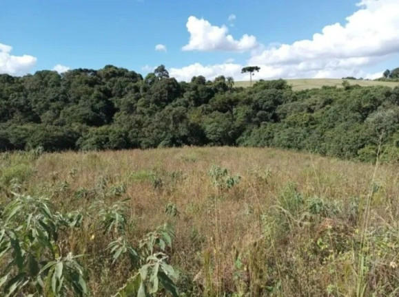 Imagem Terreno à Venda, em Centro - Contenda Imagem Terreno à Venda, em Centro - Contenda