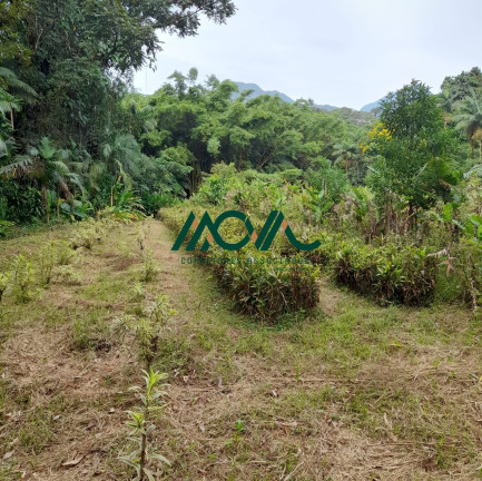 Imagem Imóvel com 2 Quartos à Venda, 120 m² em Pedra Branca Do Araraquara - Guaratuba Imagem Imóvel com 2 Quartos à Venda, 120 m² em Pedra Branca Do Araraquara - Guaratuba