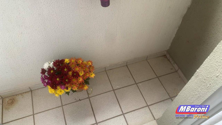 Imagem Apartamento com 2 Quartos à Venda, 50 m² em Jardim Santa Terezinha (zona Leste) - São Paulo Imagem Apartamento com 2 Quartos à Venda, 50 m² em Jardim Santa Terezinha (zona Leste) - São Paulo