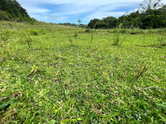 Imagem Chácara à Venda, 3 m² em Morungava - Gravataí Imagem Chácara à Venda, 3 m² em Morungava - Gravataí