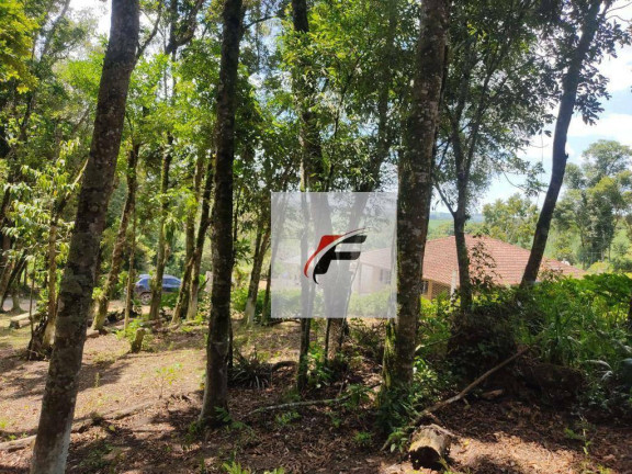 Imagem Chácara com 3 Quartos à Venda, 120 m² em Zona Rural - Lapa Imagem Chácara com 3 Quartos à Venda, 120 m² em Zona Rural - Lapa