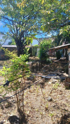 Imagem Terreno à Venda, 360 m² em Candeias - Jaboatão Dos Guararapes