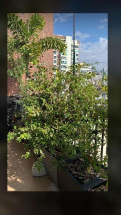 Imagem Apartamento com 2 Quartos à Venda, 103 m² em Bela Vista - São Paulo