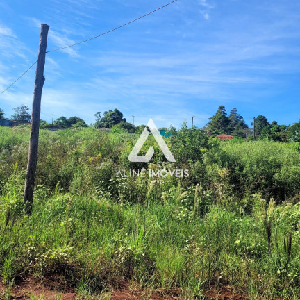 Imagem Fazenda à Venda, 40 m² em Vila Nova - Cruz Alta Imagem Fazenda à Venda, 40 m² em Vila Nova - Cruz Alta