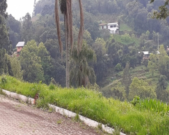 Imagem Imóvel à Venda, 455 m² em Piá - Nova Petrópolis