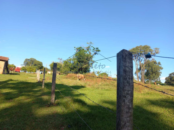 Imagem Fazenda à Venda, 65.340 m² em Bonfim - Pirassununga